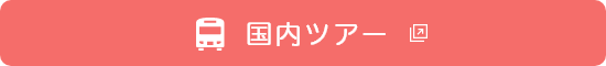 国内ツアー